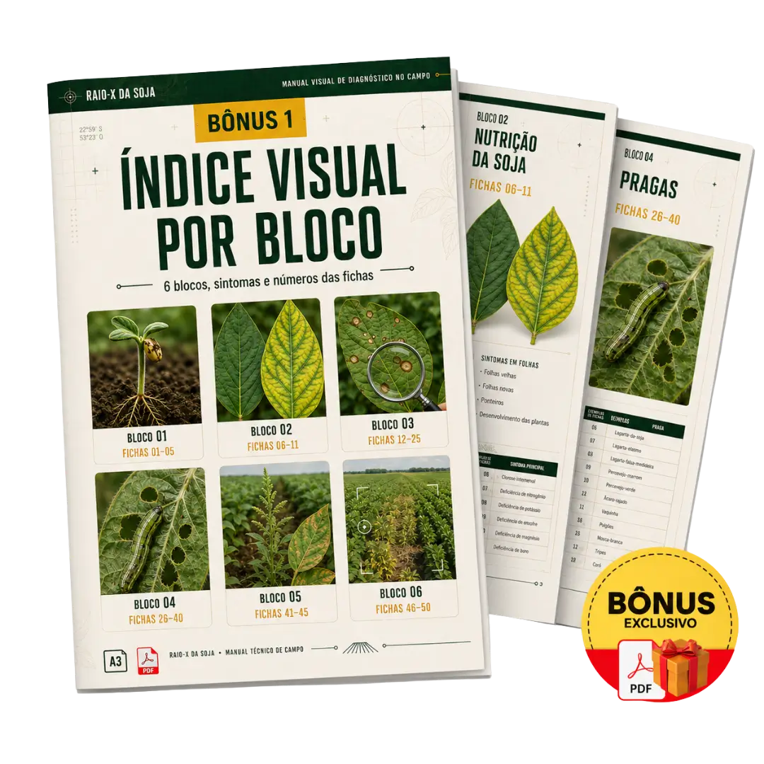 Mockup do bônus 1, Índice Visual por Bloco