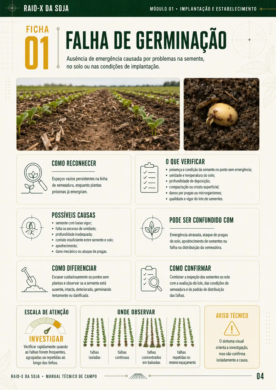Amostra de ficha do RAIO-X da Soja