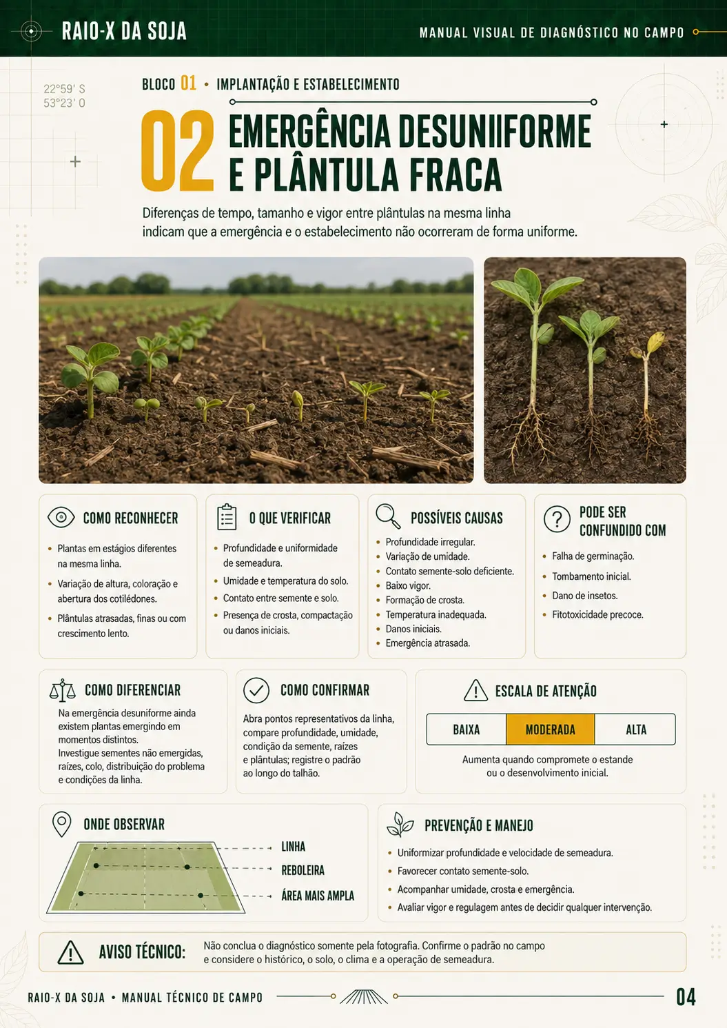 Amostra de ficha do RAIO-X da Soja