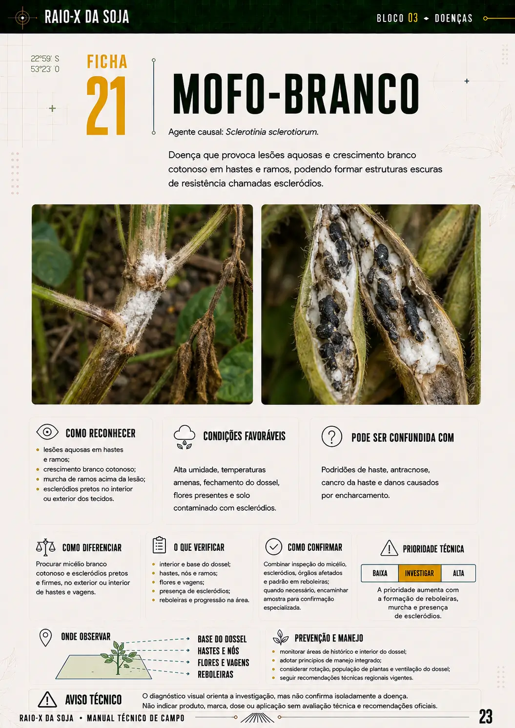 Amostra de ficha do RAIO-X da Soja