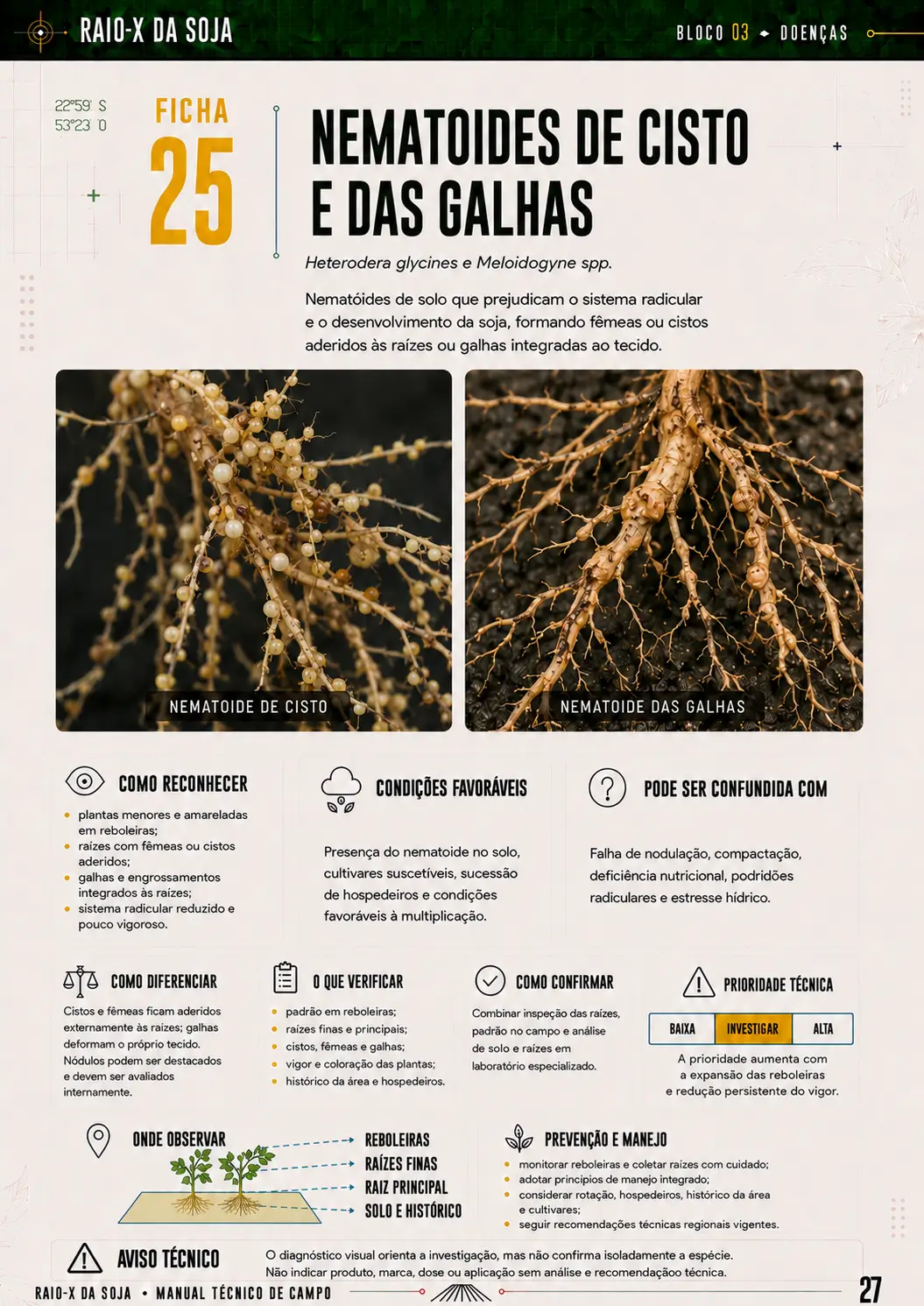 Amostra de ficha do RAIO-X da Soja