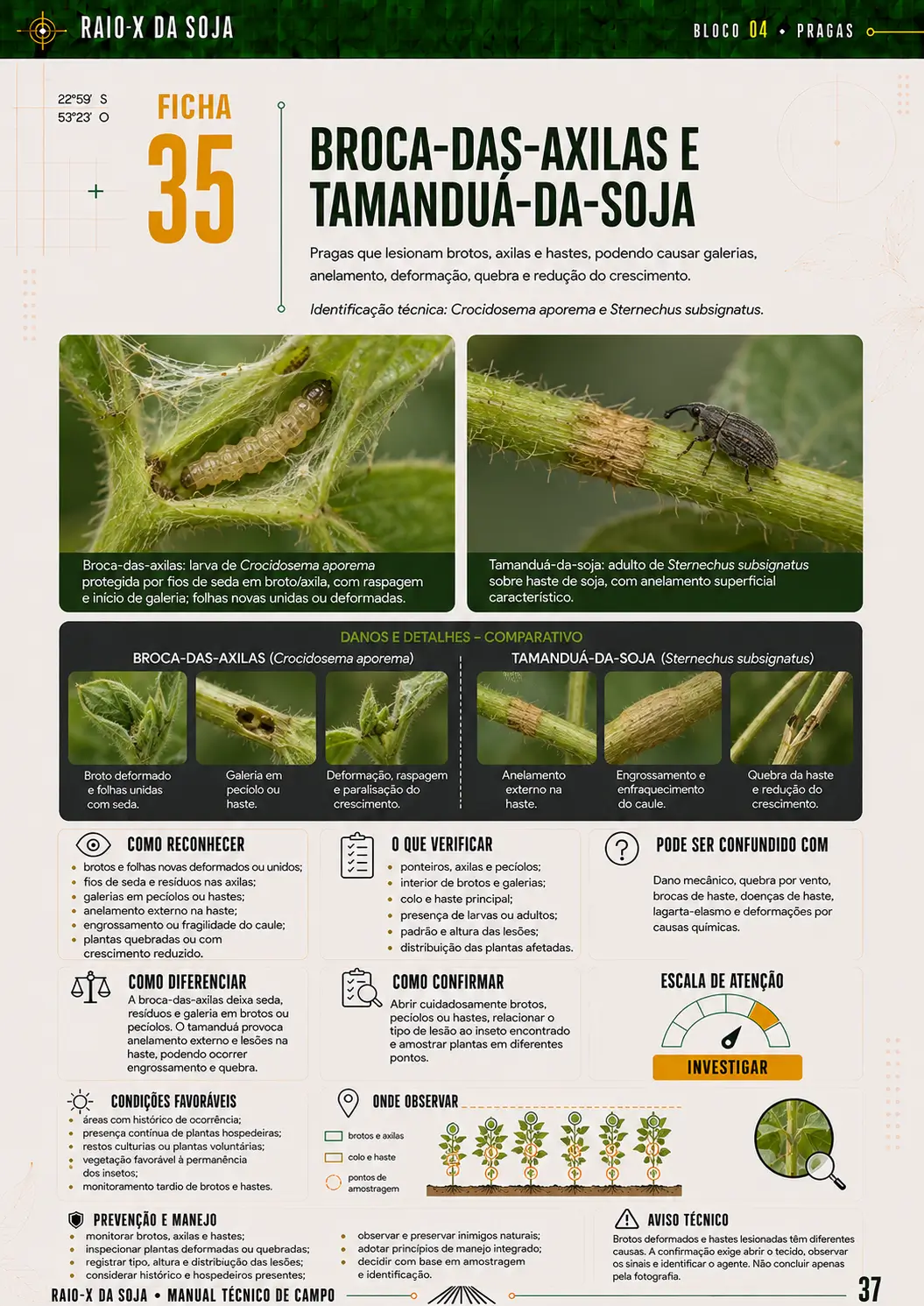 Amostra de ficha do RAIO-X da Soja