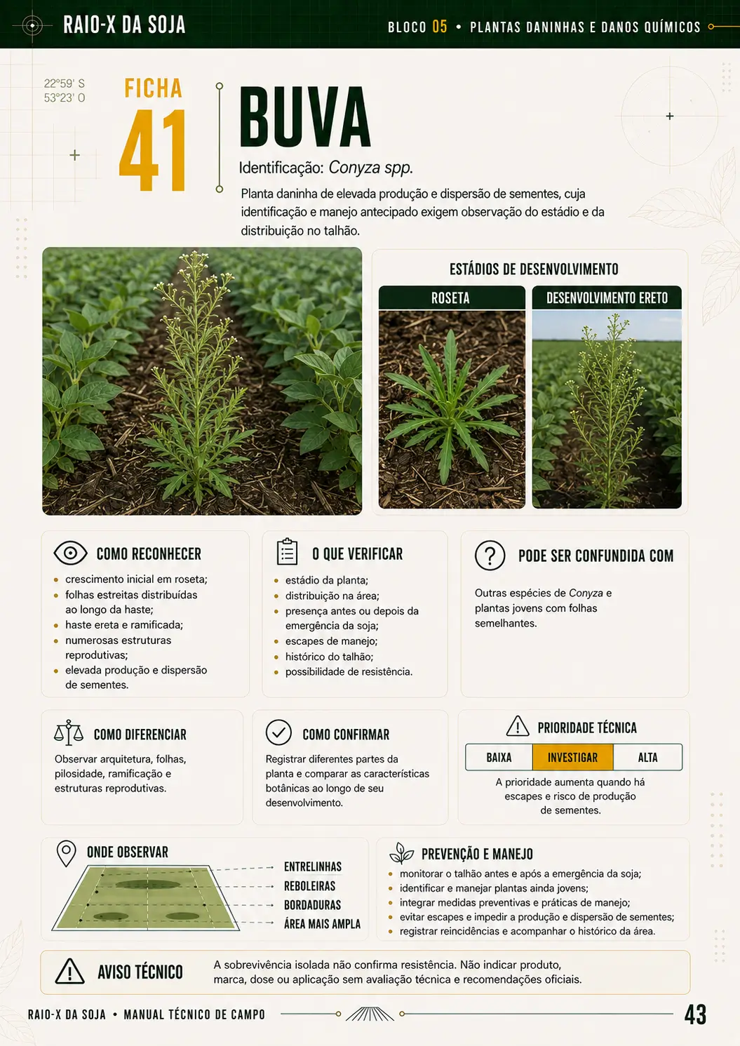 Amostra de ficha do RAIO-X da Soja